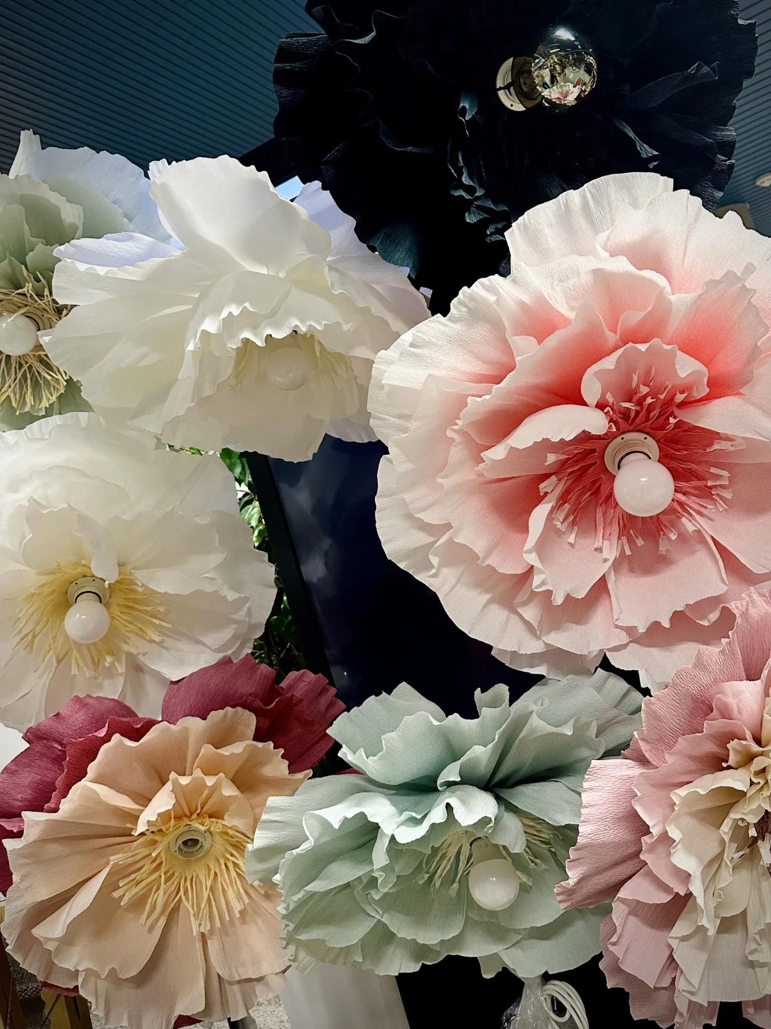 blommor 1