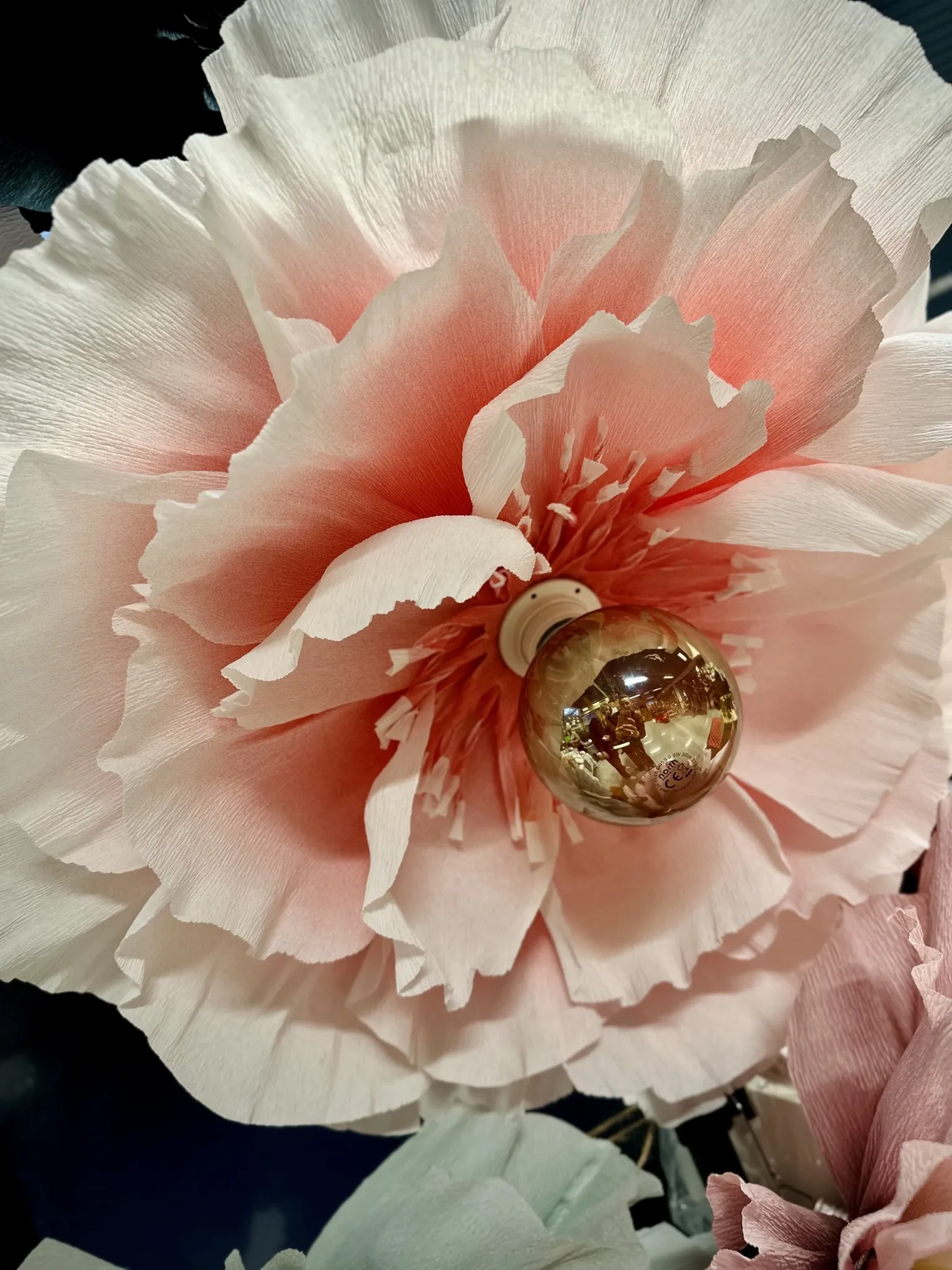 blommor 3
